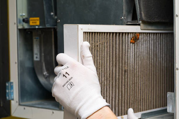 Best Affordable Duct Cleaning Services  in Central Gardens, TX