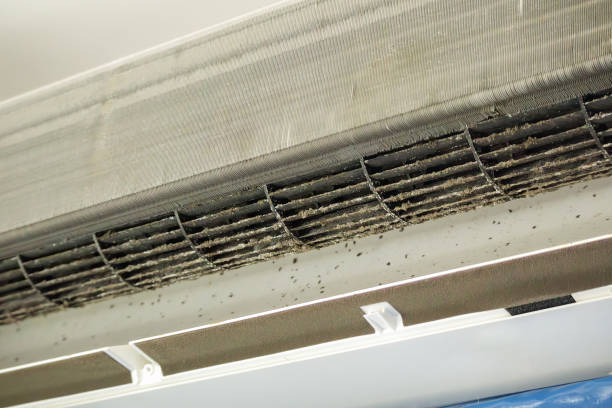 Affordable HVAC Duct Cleaning in Central Gardens, TX